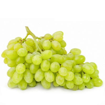 अंगूर | grapes