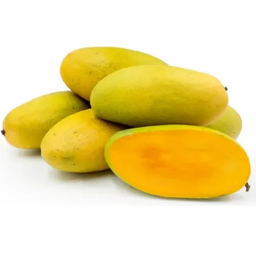 Dasheri Mango (दशहरी आम)