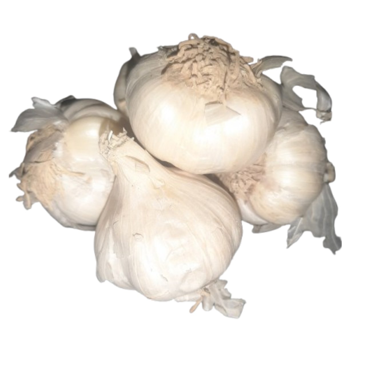 लहसुन | Lahsun