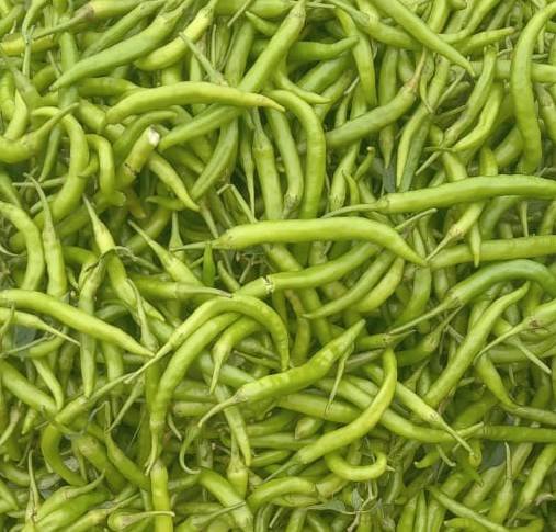 हरी मिर्च | Hari mirch